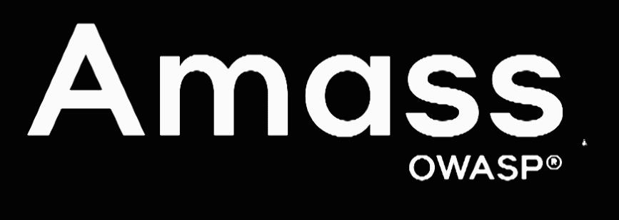 OWASP ASVS